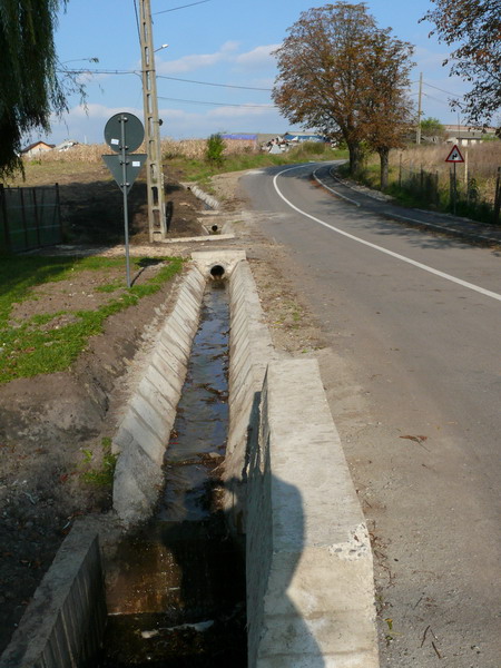 4 str. Caporal Popescu podet sant carosabil .jpg